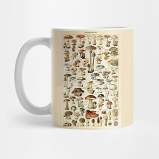 Champignon I Vintage French Mushroom Chart Mug